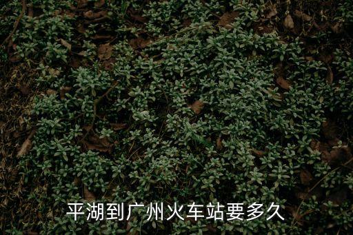 平湖到廣州火車站要多久