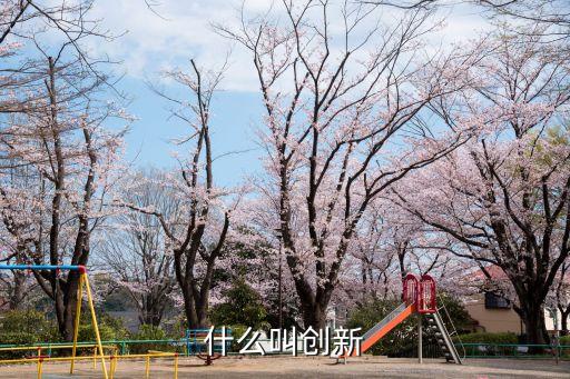 什么叫創(chuàng)新