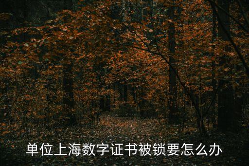 上海市數字證書鎖死聯系，上海銀行數字證書密碼那欄輸不了密碼