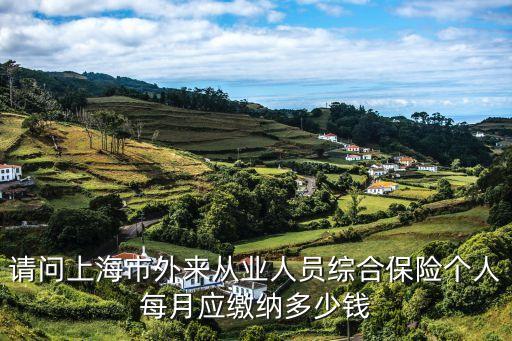 上海市外來從業(yè)，請問上海市外來從業(yè)人員綜合保險個人每月應(yīng)繳納多少錢