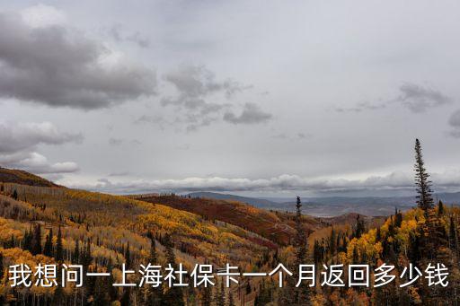 我想問一上海社?？ㄒ粋€月返回多少錢