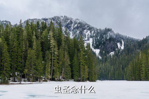 蟲圣蟶子，左邊一個蟲字旁右邊一個圣怎么念呢