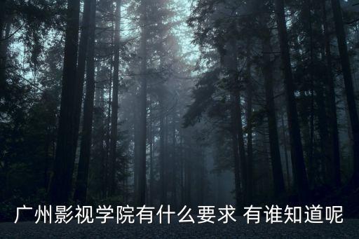 廣州電影留學(xué)申請條件，廣州影視學(xué)院有什么要求 有誰知道呢