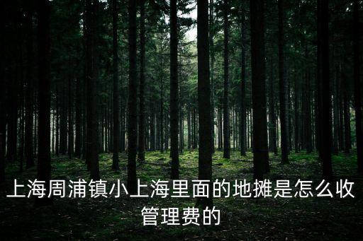 上海市市場(chǎng)管理費(fèi)收費(fèi)標(biāo)準(zhǔn)，市場(chǎng)衛(wèi)生管理費(fèi)是按什么標(biāo)準(zhǔn)收取的收多少