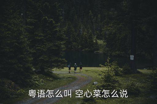 空心菜廣州話，空心菜廣東人講乜野菜