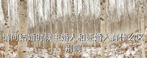 請問結婚時候主婚人和證婚人有什么區別啊