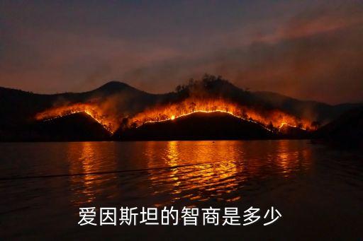 愛(ài)因斯坦的智商是多少