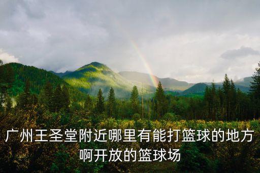 廣州艾羽翼體育俱樂部，請問廣州哪里有晚上可以打籃球的球場啊