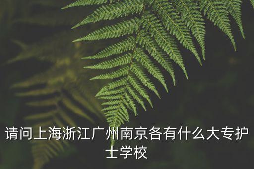 請問上海浙江廣州南京各有什么大專護士學校