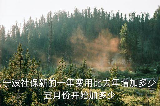 寧波社保新的一年費用比去年增加多少五月份開始加多少