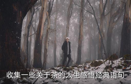 茶語人生經(jīng)典句子，將品茶就是品味人生這句話擴展成60字左右的一段話要求所寫的
