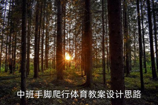 中班手腳爬行體育教案設(shè)計(jì)思路