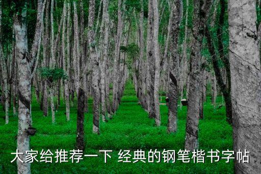 大家給推薦一下 經(jīng)典的鋼筆楷書字帖