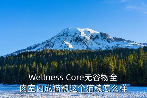 紐翠斯貓糧，Wellness Core無谷物全肉室內成貓糧這個貓糧怎么樣