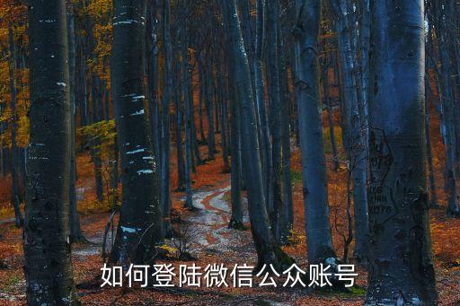 微信公眾登錄，怎樣登陸微信公眾號(hào)