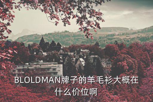 廣州保羅西蒙羊毛衫價(jià)格，BLOLDMAN牌子的羊毛衫大概在什么價(jià)位啊