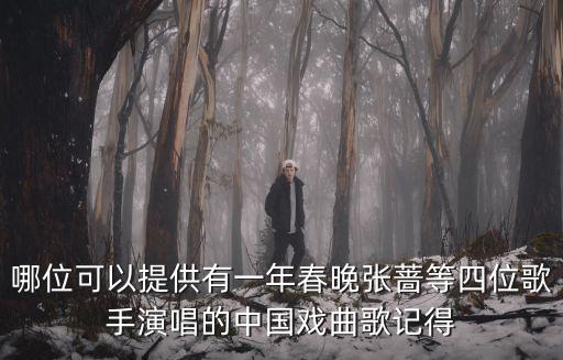 張薔演唱會，安徽衛視中秋晚會張薔唱的歌曲串燒都叫什么