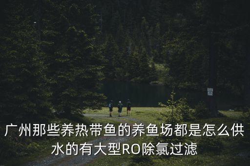 廣州生魚養(yǎng)殖，廣州那些養(yǎng)熱帶魚的養(yǎng)魚場都是怎么供水的有大型RO除氯過濾