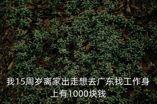 15歲男孩獨自離家到廣州，15歲男孩 離家出走了 該怎么辦