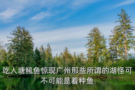 吃人塘鲺魚驚現廣州那些所謂的湖怪可不可能是著種魚