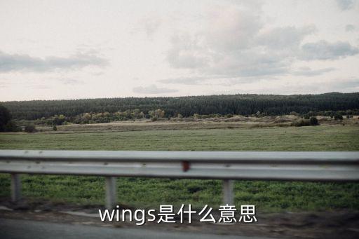 wings怎么讀，wings的發音