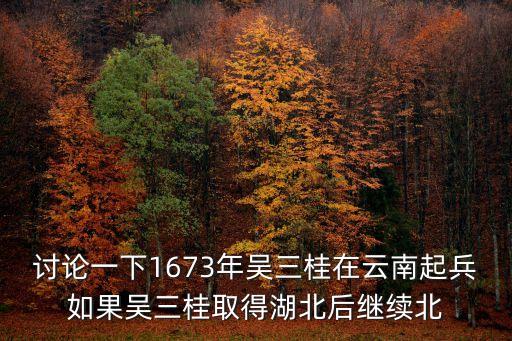 云南起義，討論一下1673年吳三桂在云南起兵如果吳三桂取得湖北后繼續北