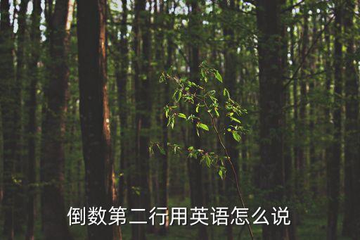 倒數英文，倒數第二行用英語怎么說