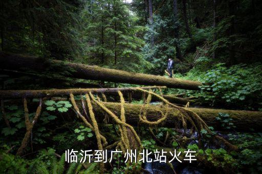 從臨沂到廣州坐高鐵幾個小時能到，誰知道 從山東臨沂到 廣州 最快 多長 時間