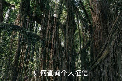 中國征信網(wǎng)官網(wǎng)，個人征信用度網(wǎng)上不可以查嗎