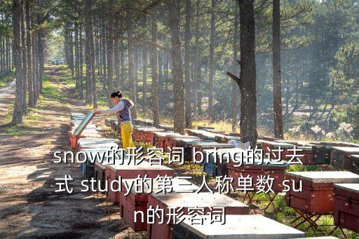 snow的過去式，snow 和rain的過去式