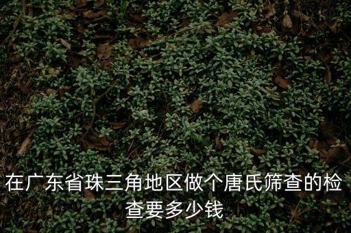 在廣東省珠三角地區做個唐氏篩查的檢查要多少錢