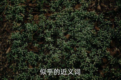 似乎的近義詞