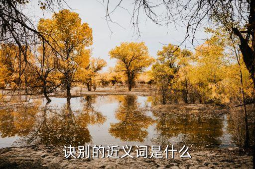 訣別的近義詞是什么