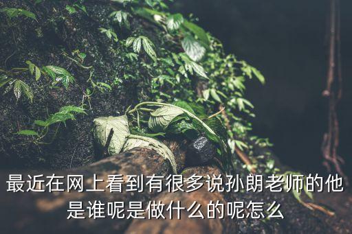 最近在網(wǎng)上看到有很多說孫朗老師的他是誰呢是做什么的呢怎么