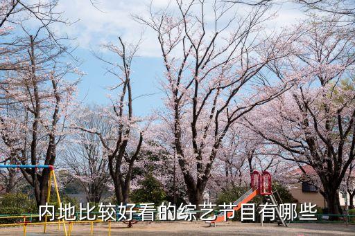 內地比較好看的綜藝節目有哪些