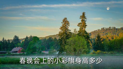 春晚會上的小彩旗身高多少