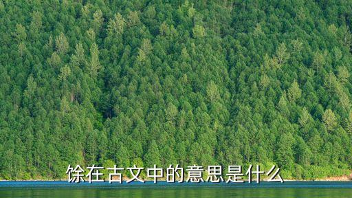 余的意思，馀在古文中的意思是什么