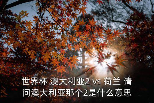 澳大利亞世界杯，世界杯 澳大利亞2 vs 荷蘭 請問澳大利亞那個2是什么意思