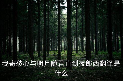 隨君直到夜郎西，隨君直到夜郎西這首詩(shī)的前一句和整首詩(shī)