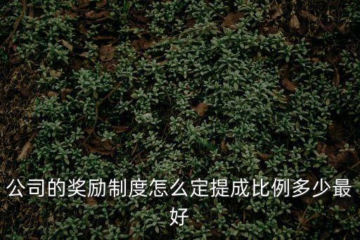 公司的獎(jiǎng)勵(lì)制度怎么定提成比例多少最好