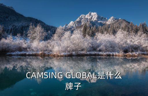 CAMSING GLOBAL是什么牌子