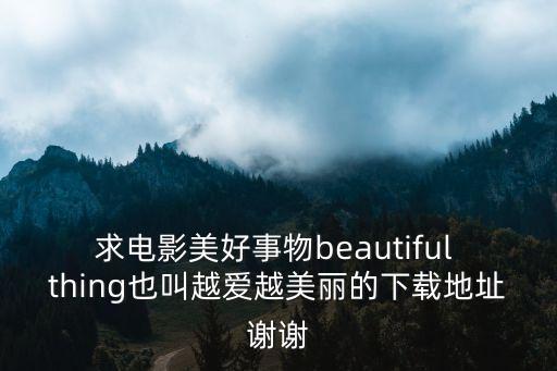 求電影美好事物beautiful thing也叫越愛越美麗的下載地址謝謝