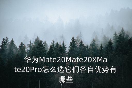 華為mate20x，華為Mate20Mate20XMate20Pro怎么選它們各自優勢有哪些