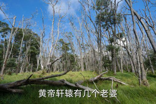 黃帝軒轅有幾個老婆
