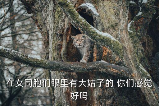 在女同胞們眼里有大姑子的 你們感覺好嗎