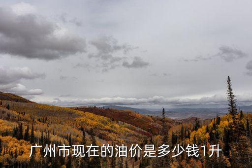 廣州市現(xiàn)在的油價(jià)是多少錢(qián)1升
