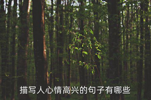 開開心心的句子，開開心心出門去平平安安返家來意思差不多的句子大家動動腦子