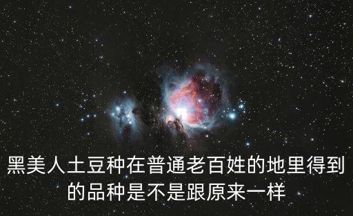 黑美人土豆，黑美人土豆種在普通老百姓的地里得到的品種是不是跟原來一樣