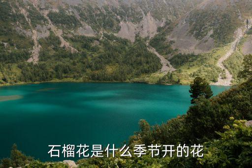 石榴花什么季節(jié)開花，石榴花什么季節(jié)開
