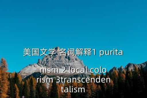 美國文學(xué) 名詞解釋1 puritanism 2 local colorism 3transcendentalism